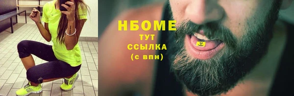 прущий лед Дмитриев