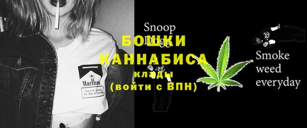прущий лед Дмитриев