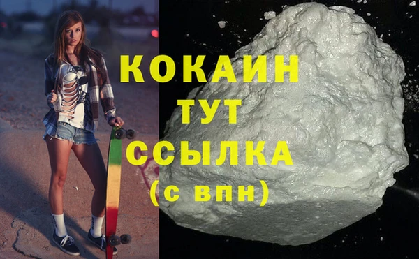 прущий лед Дмитриев