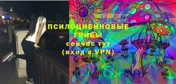 прущий лед Дмитриев