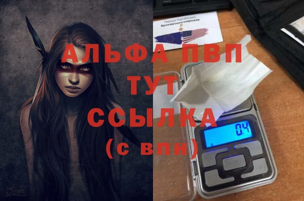 прущий лед Дмитриев