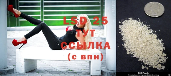 прущий лед Дмитриев