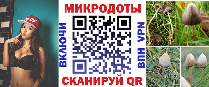 Псилоцибиновые грибы мицелий  МЕГА маркетплейс  Красноармейск 